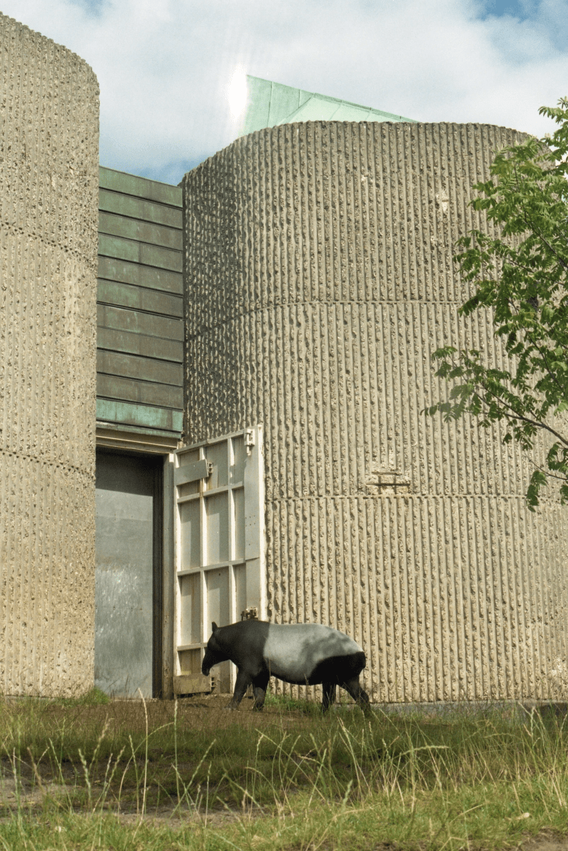 The Elephant & Rhino Pavilion, London Zoo banner