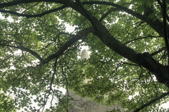 The Mappin Terraces ('Bear Mountain'), London Zoo banner